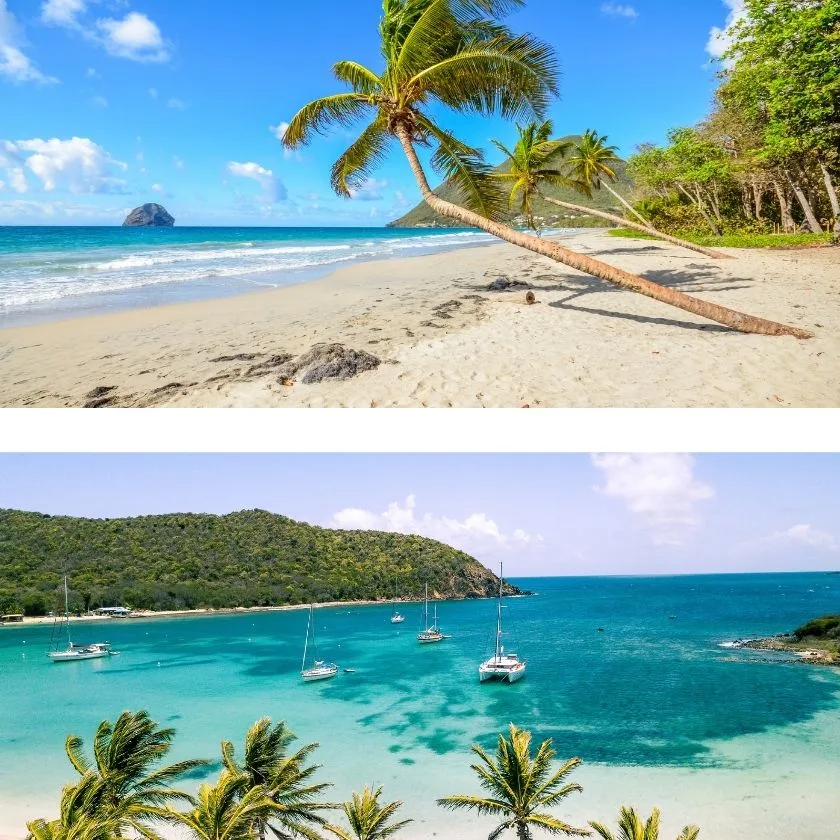The Caribbean: Our Yachts Available This Winter