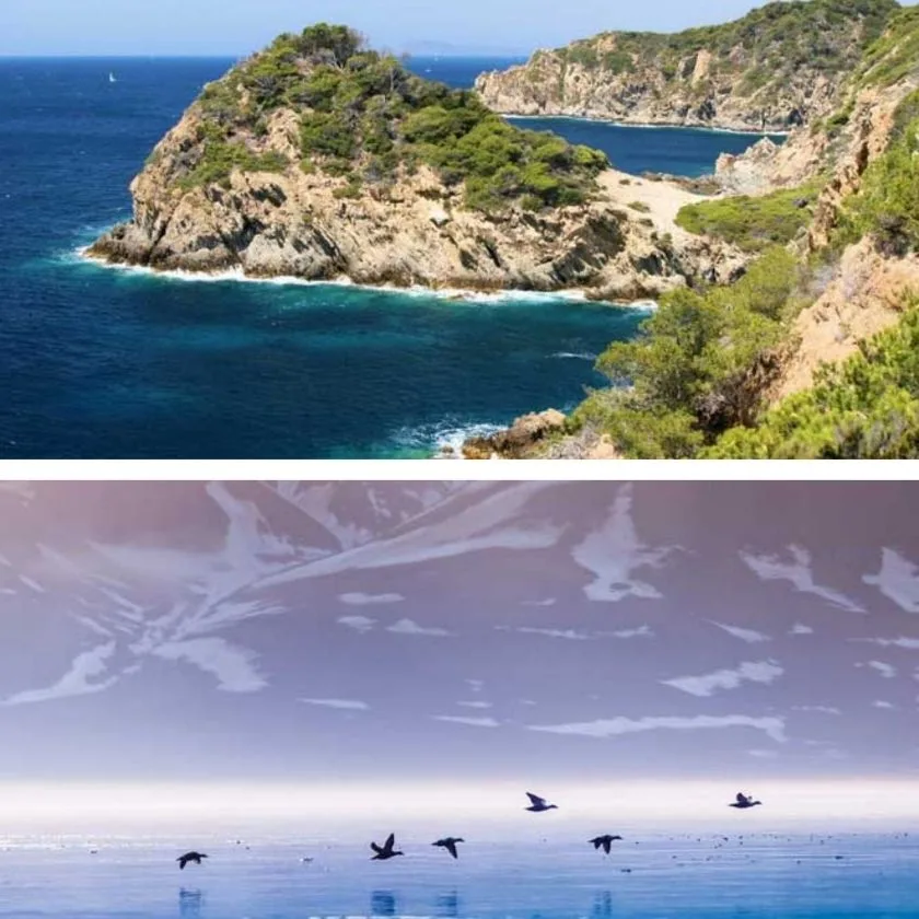 Why You Should Sail Around The World