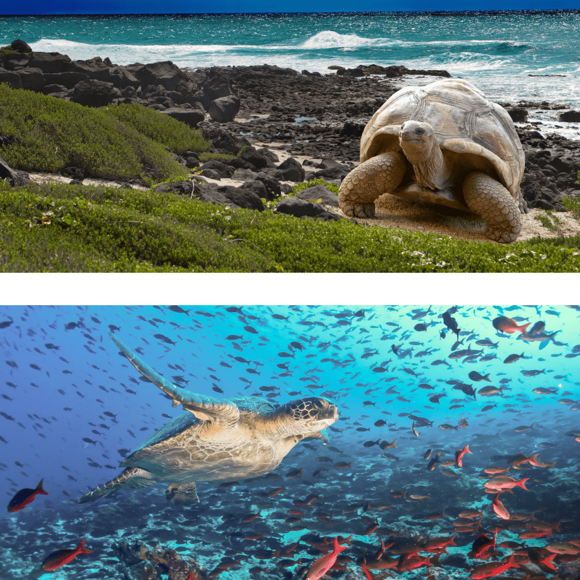 Galápagos Islands: New Itinerary