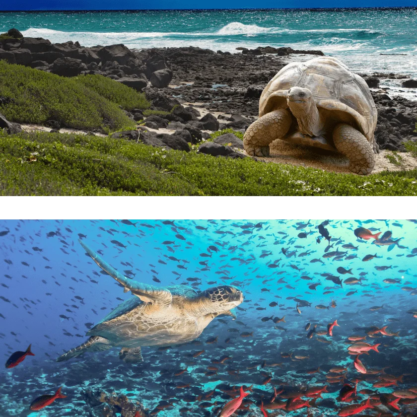 Galápagos Islands: New Itinerary