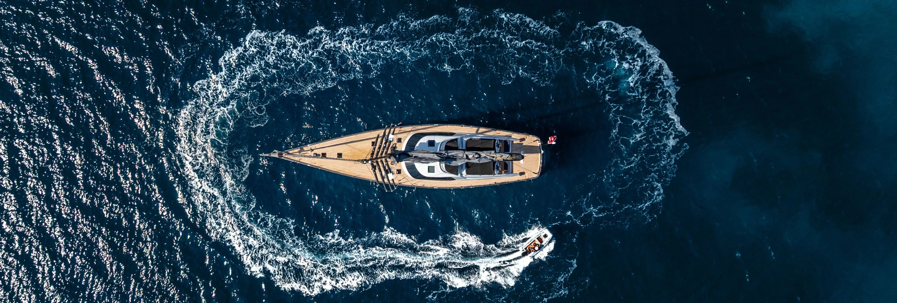 FREE AT LAST: Back on the Market with New Photos and Video!