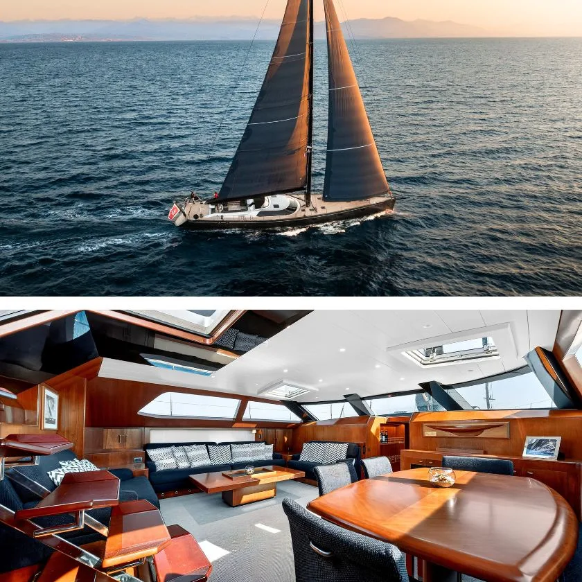 FREE AT LAST: Back on the Market with New Photos and Video!