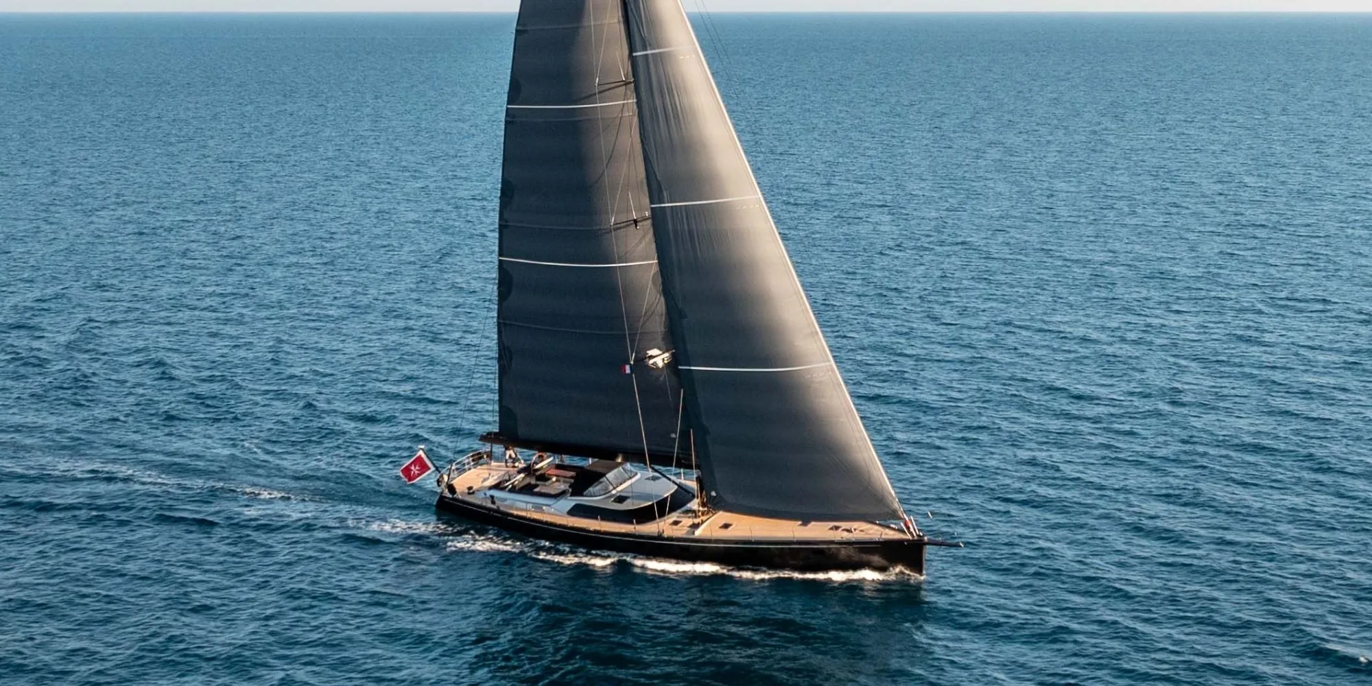 FREE AT LAST: Back on the Market with New Photos and Video!