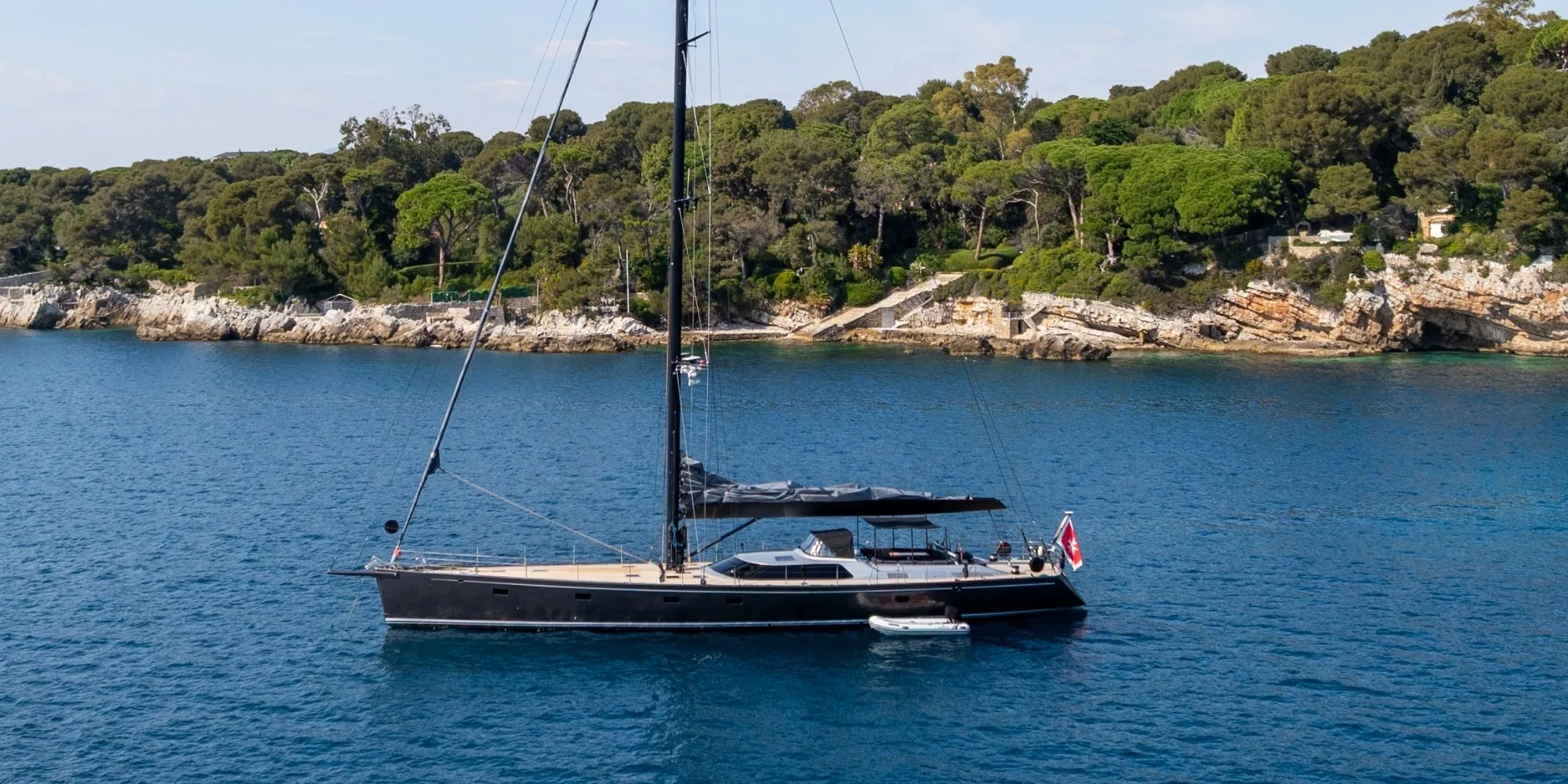 FREE AT LAST: Back on the Market with New Photos and Video!