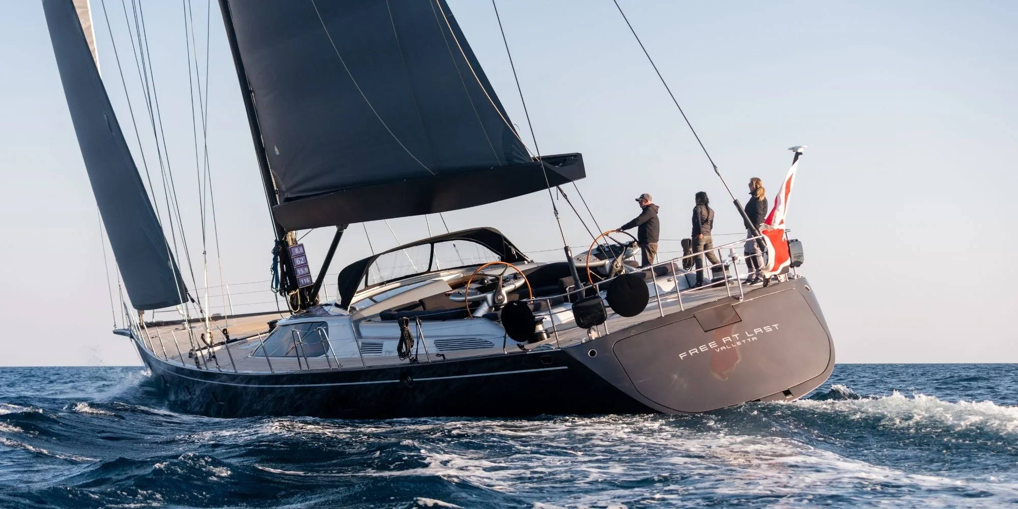 FREE AT LAST: Back on the Market with New Photos and Video!