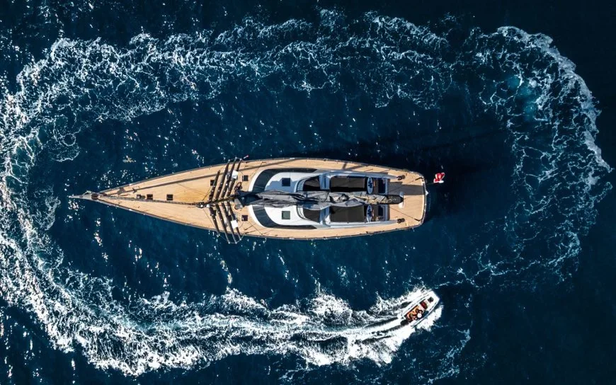 FREE AT LAST: Back on the Market with New Photos and Video!