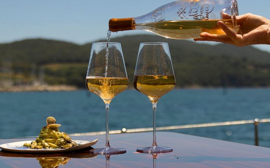 Experience Culinary Excellence On Board SATORI