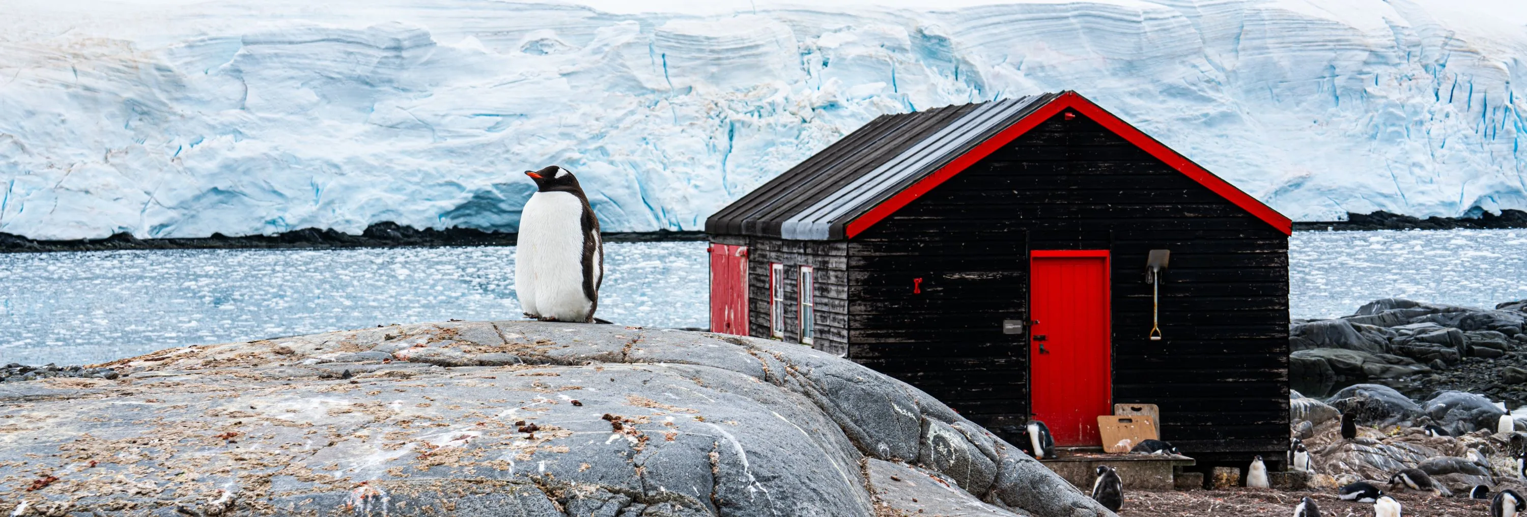 SHERAKHAN: Christmas and New Year in Antarctica