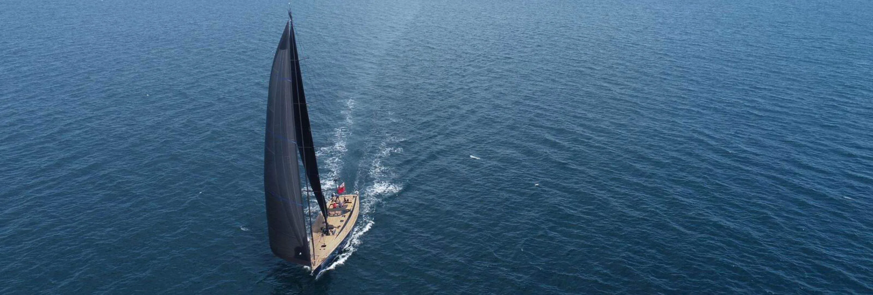 WALLY ONE: Secure Your Dates Before They're Gone!