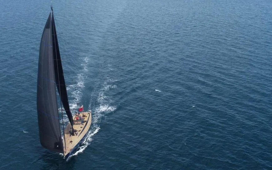 WALLY ONE: Secure Your Dates Before They're Gone!