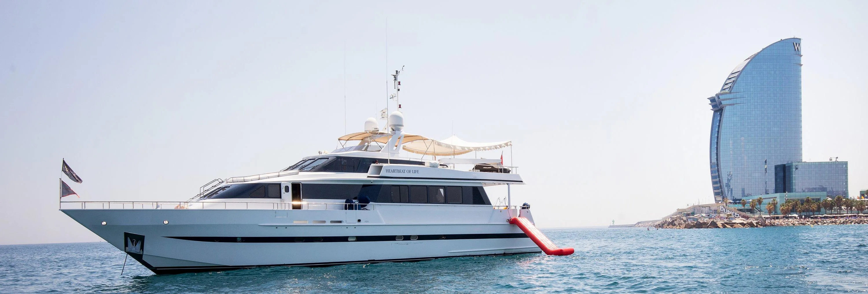 HEARTBEAT OF LIFE: New Video