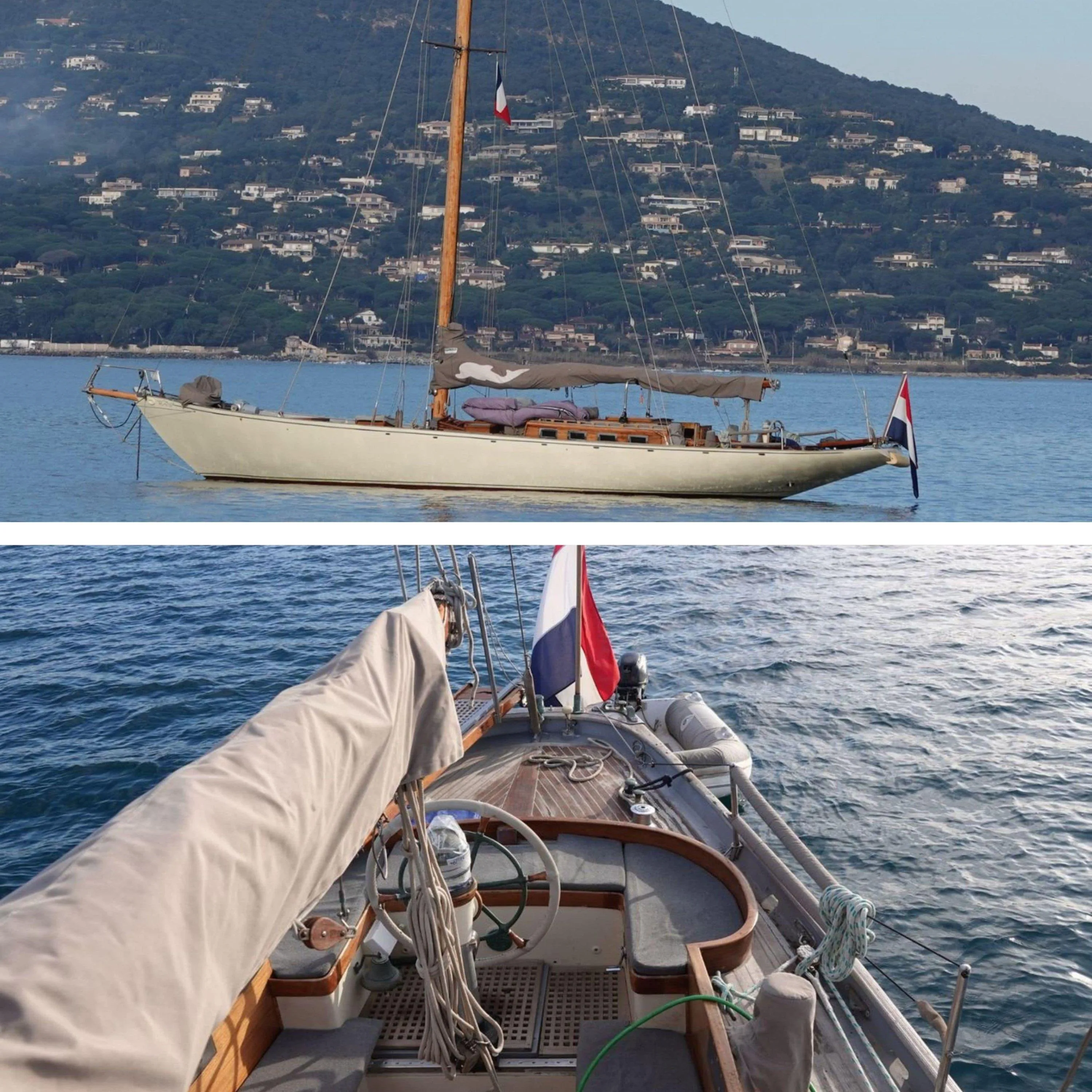 SYLPHE: 18m Classic Icon with New Price Positioning