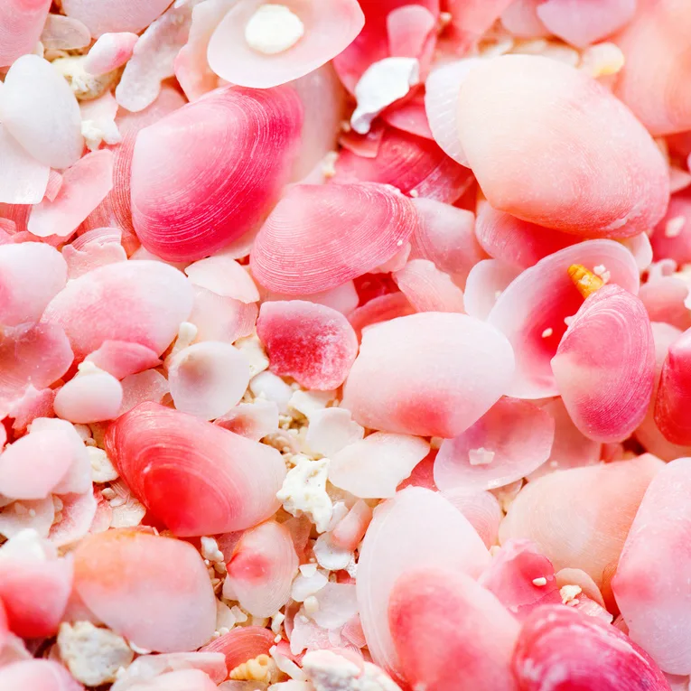 Barbuda, the forgotten paradise