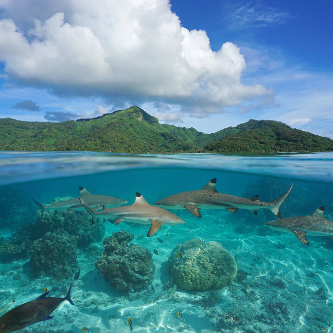 Nautical activities around Bora Bora