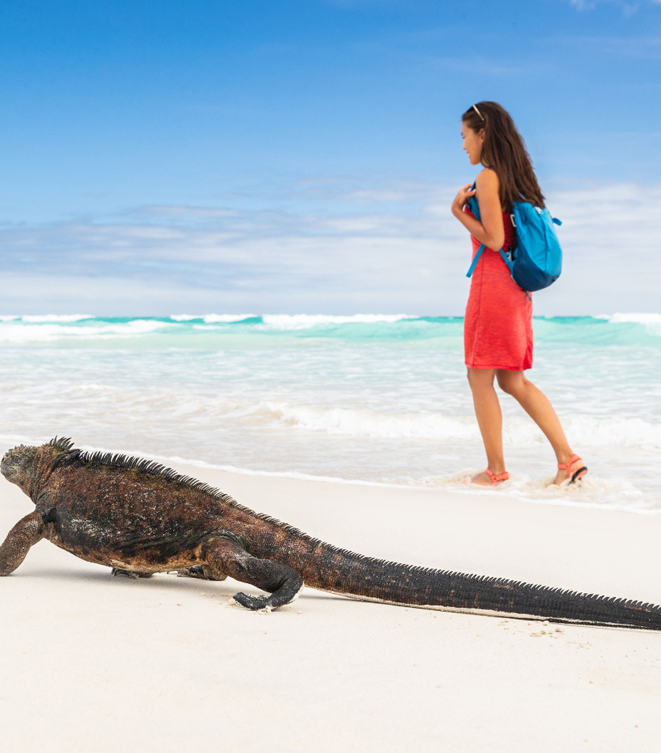 Yacht charter in the Galapagos Islands