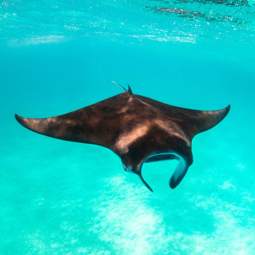 Charter Itinerary in Raja Ampat, Indonesia - Luxury Yacht Charter ...