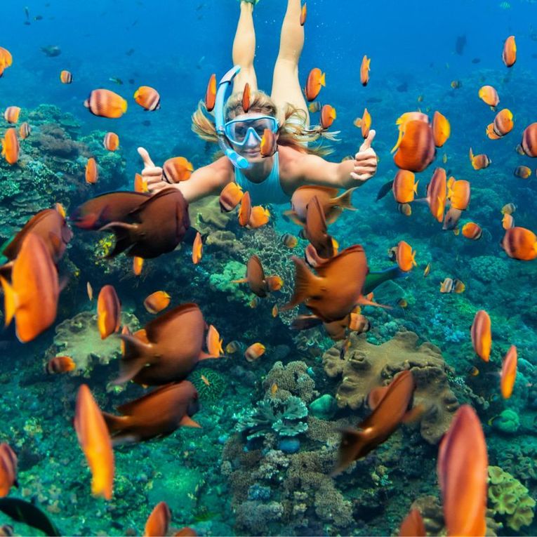 Snorkelling Marvels