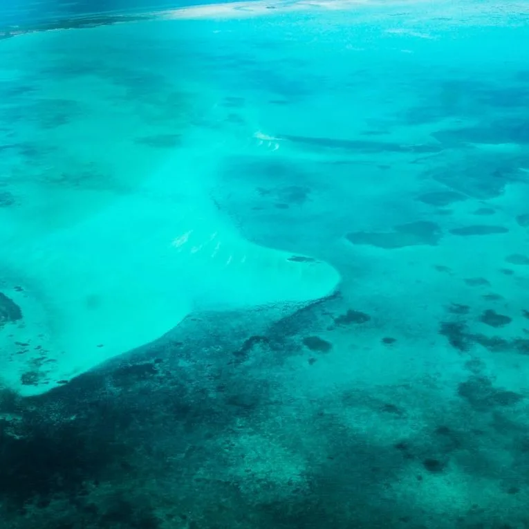 A Sanctuary for Scuba Diving