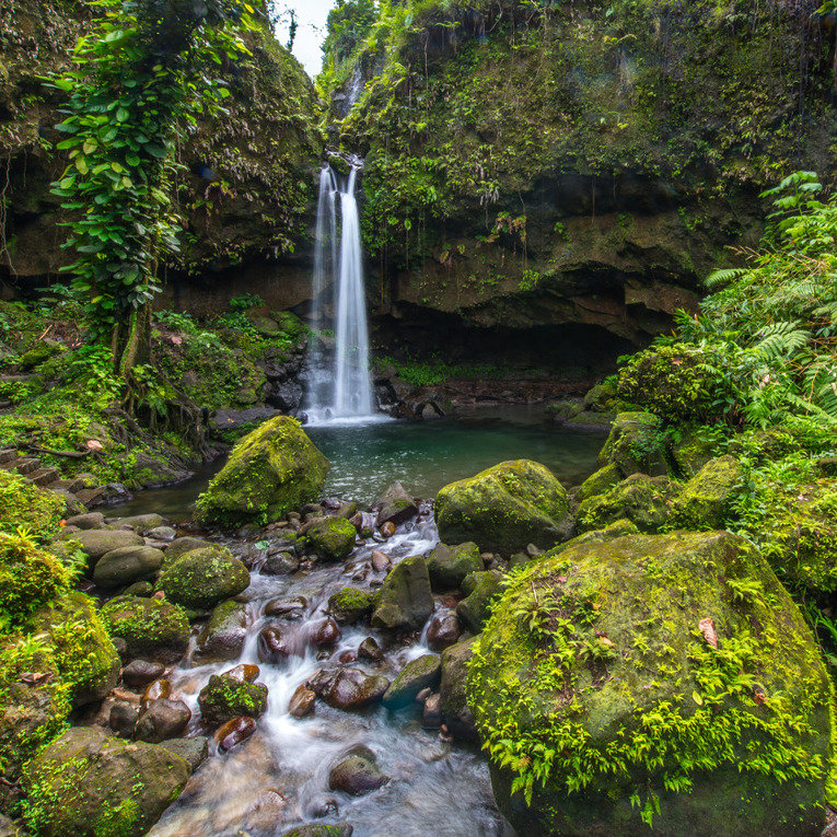 The island of Dominica