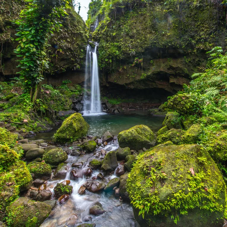 The island of Dominica