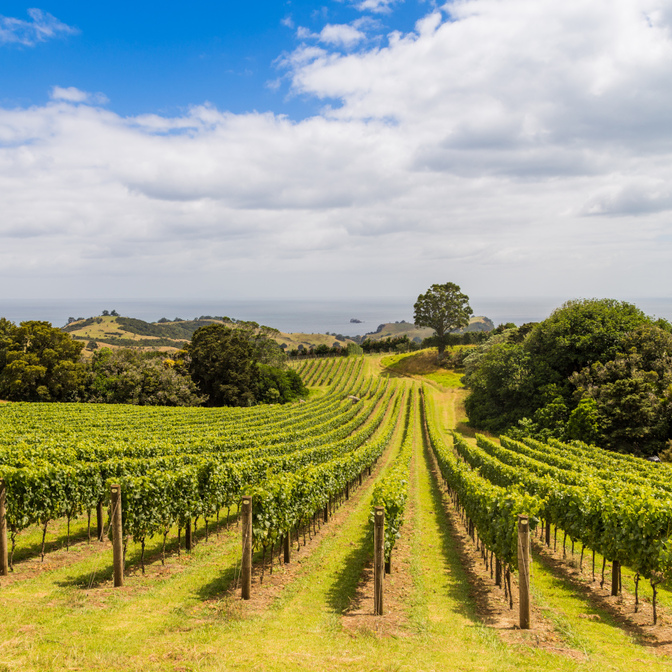 Waiheke Island