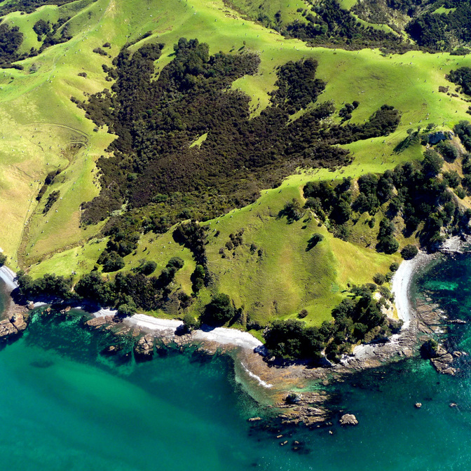 Great Barrier Island