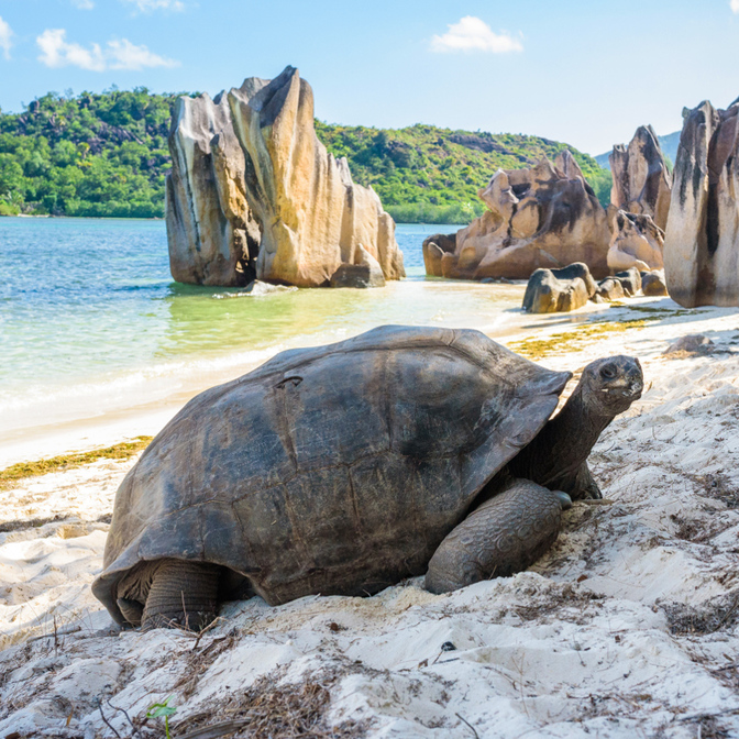 Praslin - Cousin & Curieuse Island