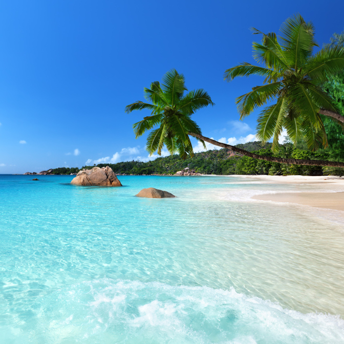 Praslin - Anse Lazio & Vallée de Mai