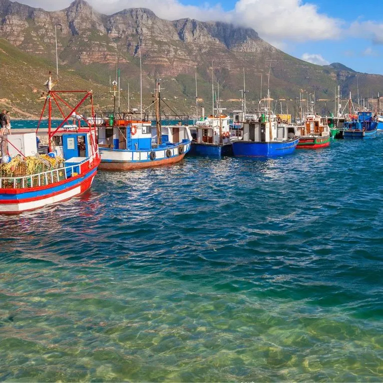 Coastal Villages & Harbour Charm