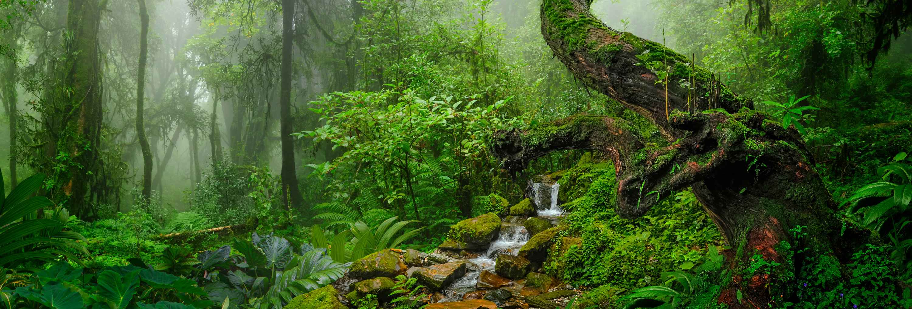 BGYB Destination : Suggested Itinerary in Thailand