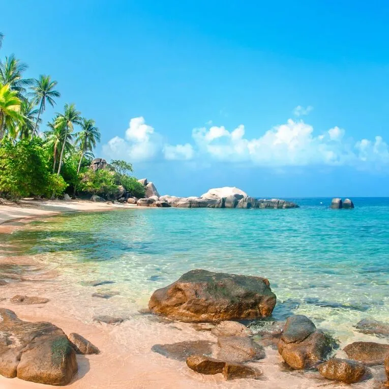 Nature, Wellness & Adventure Tropical islands