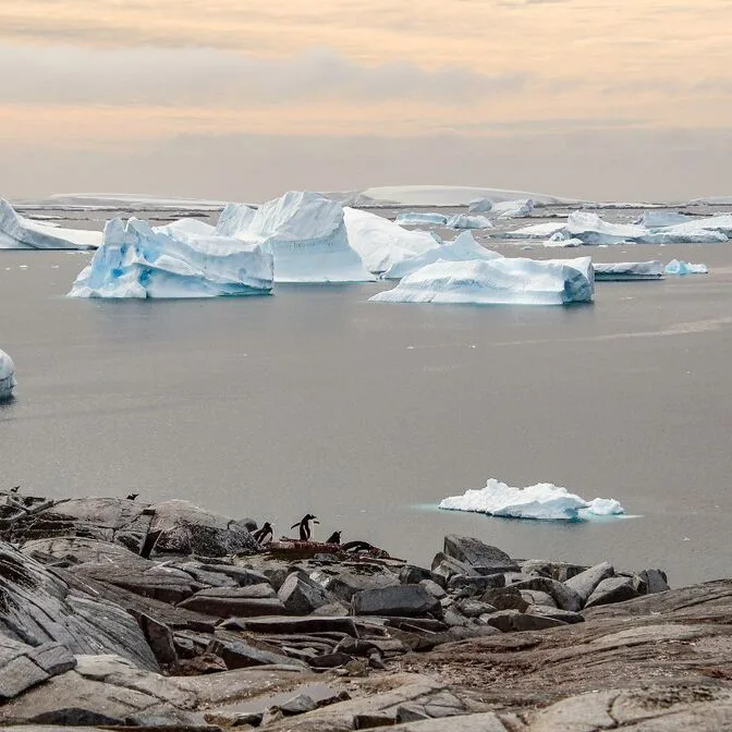 Pleneau Island