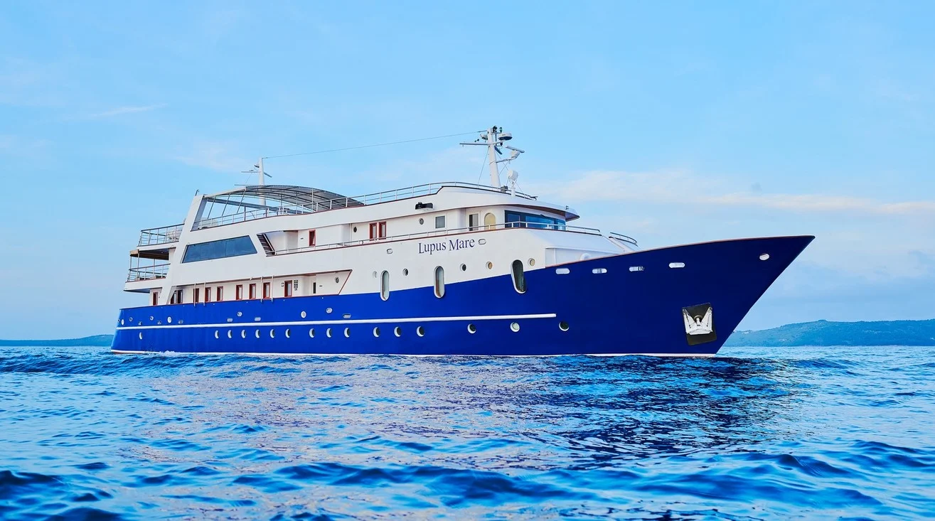 LUPUS MARE