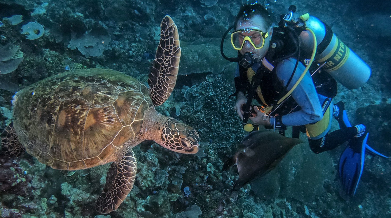 MUTIARA LAUT