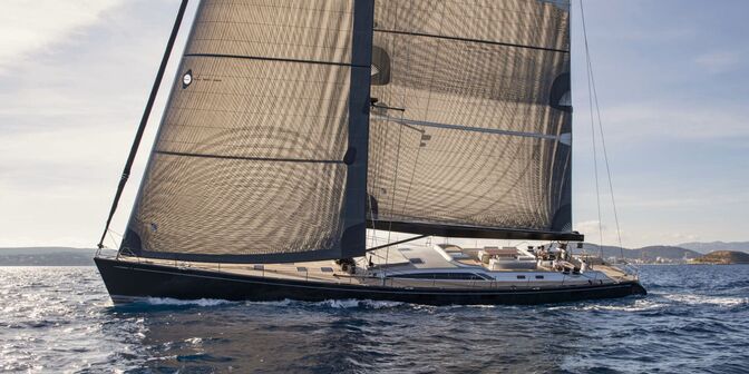ONYX Swan 100