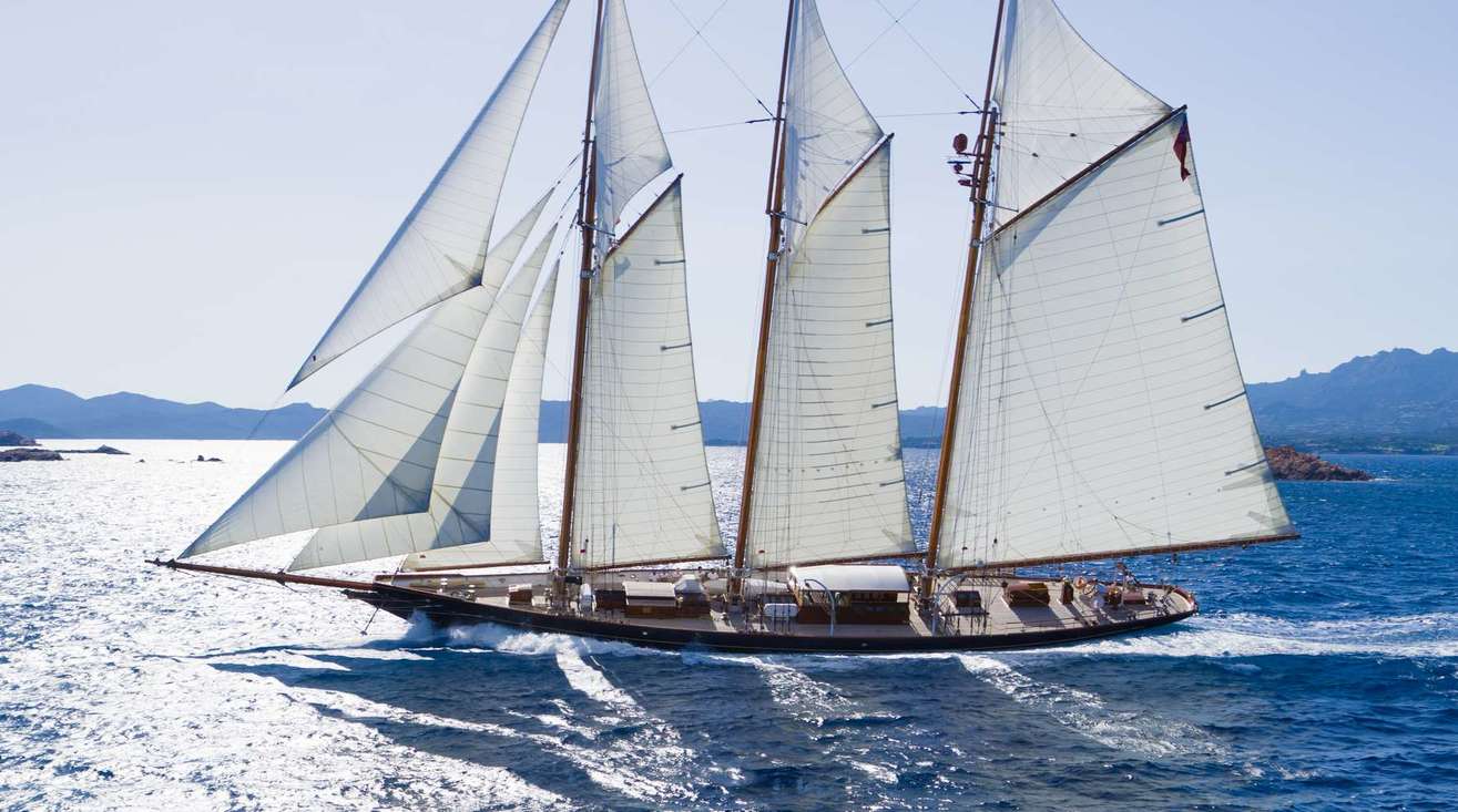 SHENANDOAH OF SARK