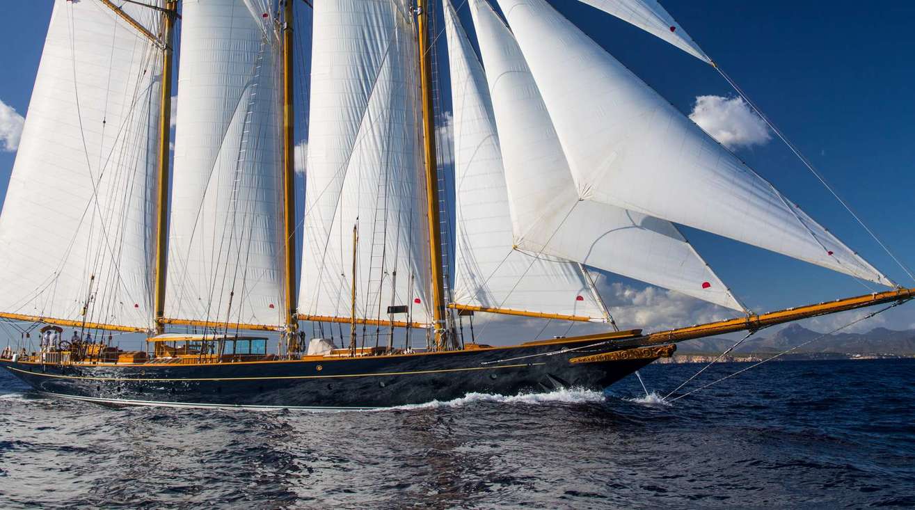 SHENANDOAH OF SARK